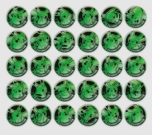 Load image into Gallery viewer, 30th Anniversary Celebration Coin Set (Chinese) (Personal Break)